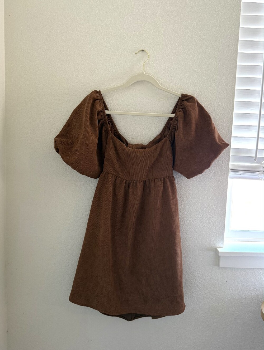 Francesca's Brown Dress